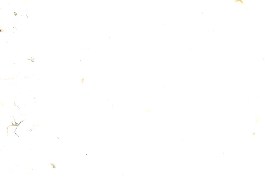 Image 212